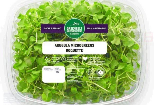 卑詩亞省銷售19種沙律菜須回收