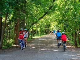 Beltline Trail清掃及植樹