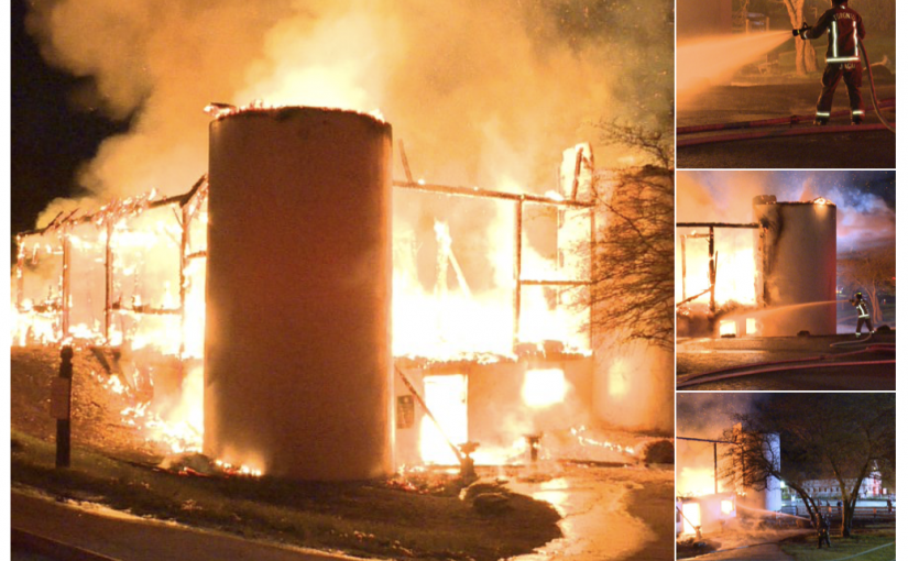 Sunnybrook馬廄起火 多匹馬葬身火海