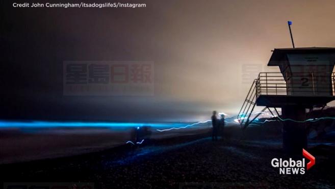 加利福尼亞驚現藍潮 專家解釋原因