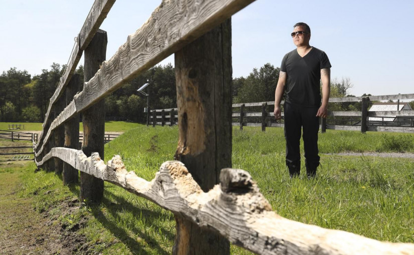 農場發現8具馬屍 租戶被控虐待動物