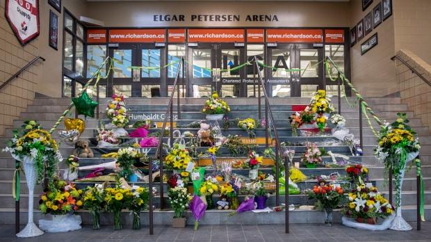 沙省冰球隊致命車禍後 已有近10萬人登記捐獻器官