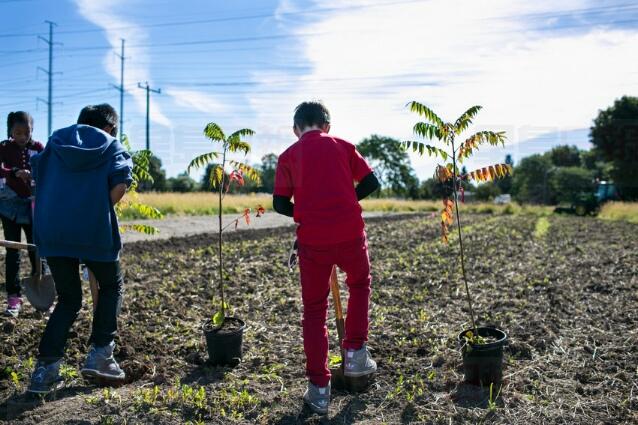 Morningside植樹節