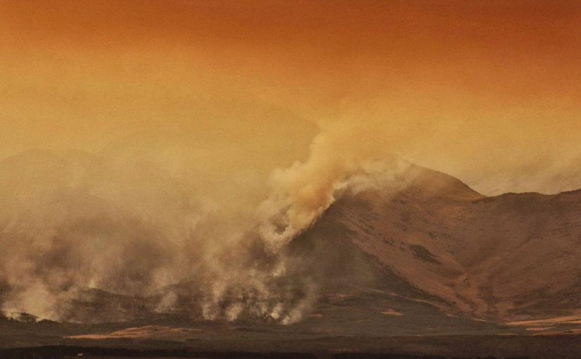 草原省已疏散，南部火災高危 加拿大或將進入“火災季”