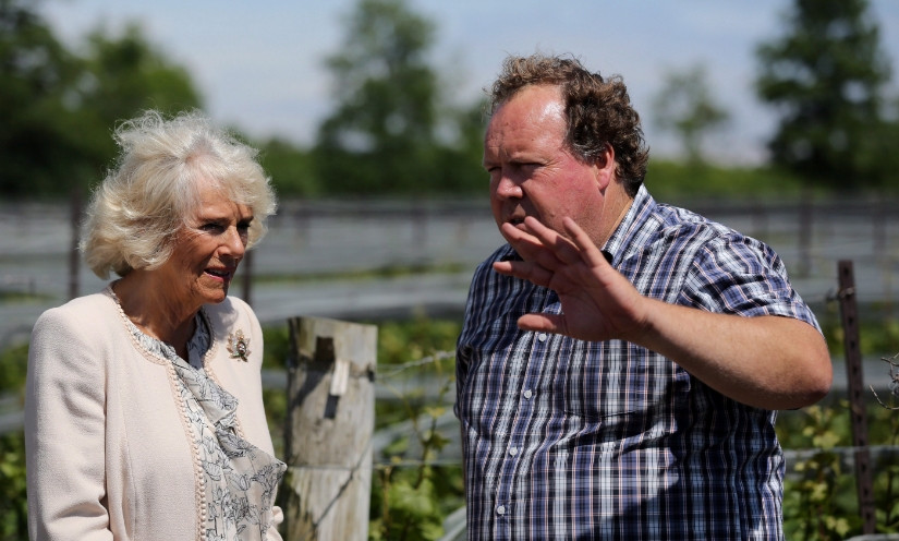 受醜聞影響 LCBO將停止銷售這個品牌的葡萄酒