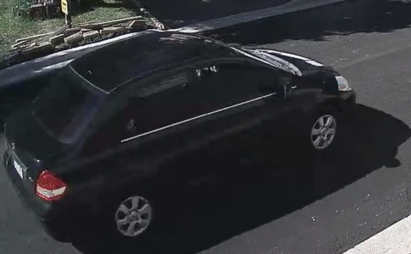 兩小女孩公園內玩耍無端被連開7槍 警方公佈嫌疑車輛照片