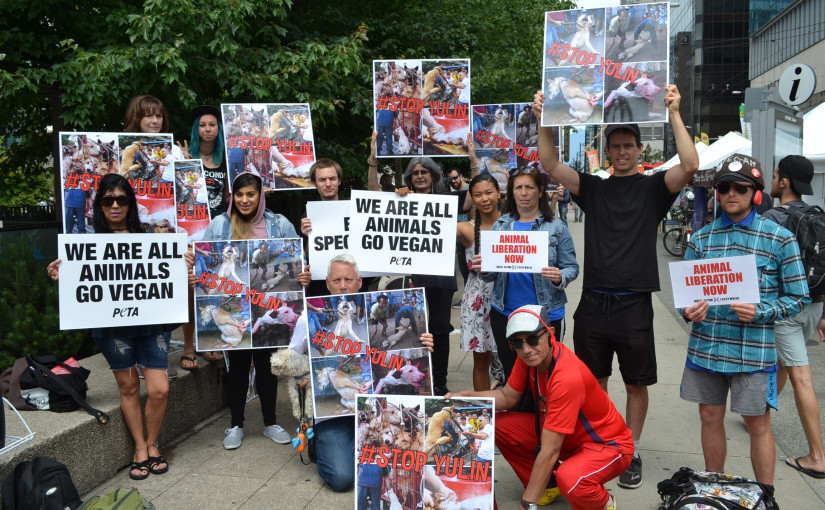 溫哥華有組織抗議中國廣西省的玉林荔枝狗肉節