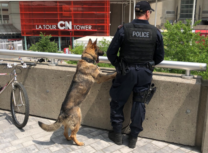 多倫多警方：下午1:40會有21響禮炮