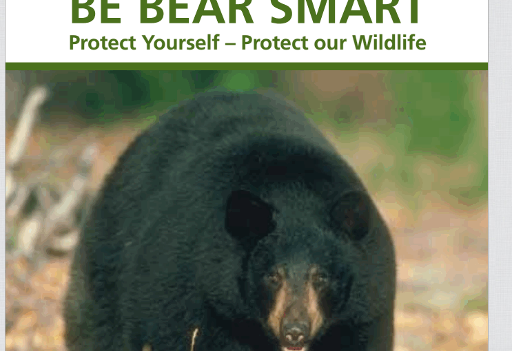 專家：我們在熊鄉 要警覺 不要受驚