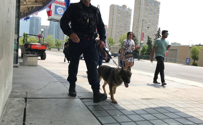 【多市「潛在威脅」事件進展】警犬出動，各路媒體展開採訪