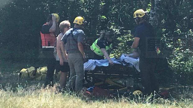 卑詩省高貴林邦特澤湖地區有黃蜂襲擊行山者