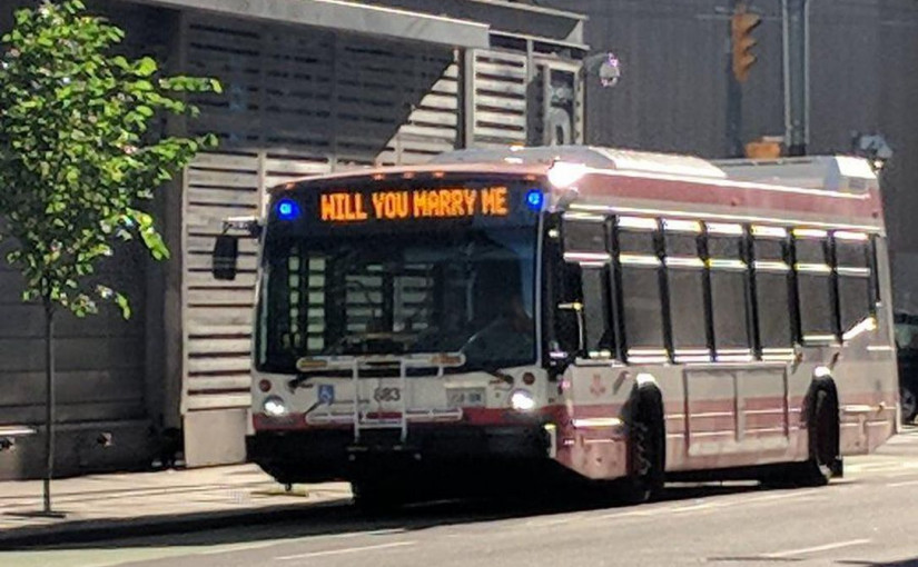 愛在多倫多！TTC巴士求婚，你見到了嗎？