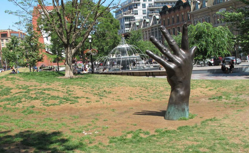 多倫多花費800萬翻新公園 草坪不到一年就枯萎