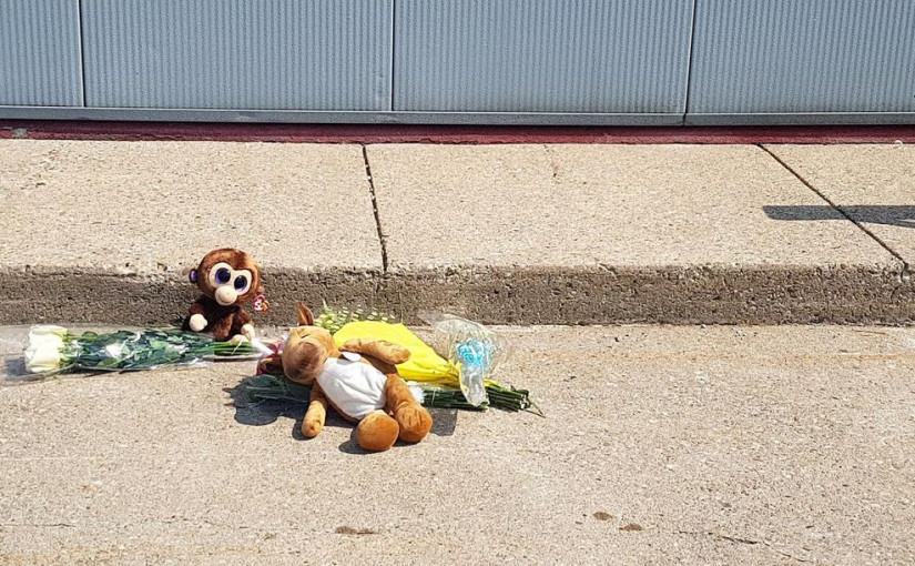 滿地可姐妹發明嬰兒保護座墊 防止嬰兒遺忘車內