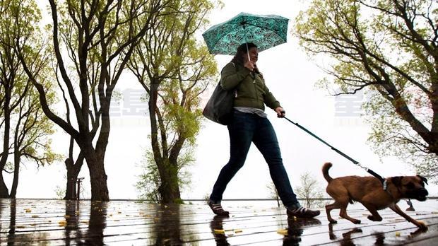 多倫多週日雷暴風險 將有5-10毫米暴雨