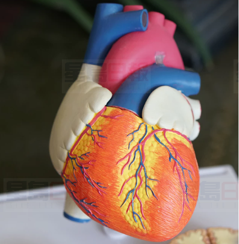 有這9個症狀，可能是因為心臟不好