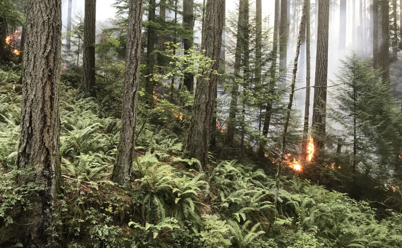 卑詩省馬蹄灣山火50%受控