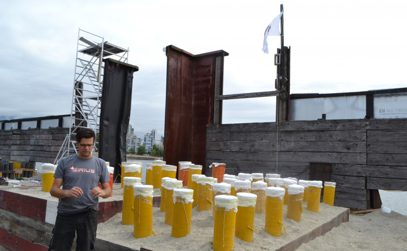 溫哥華煙花匯演 韓國隊壓軸