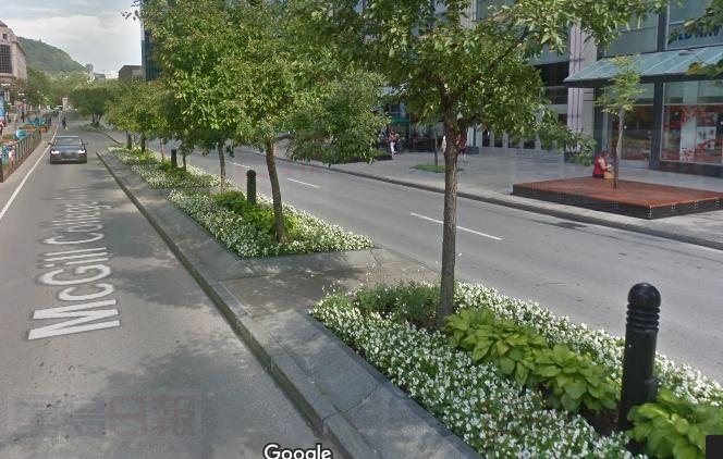 蒙特利爾市計劃將麥吉爾學院改造成公共廣場