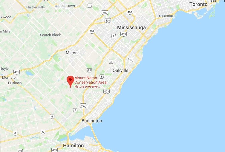 男子攀爬Burlington尼莫山峭壁坠崖