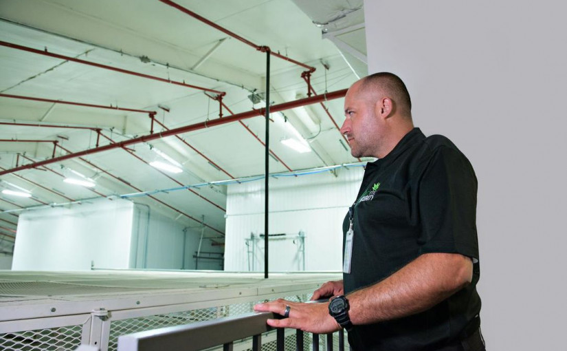 大麻公司讓退休警察煥發事業第二春