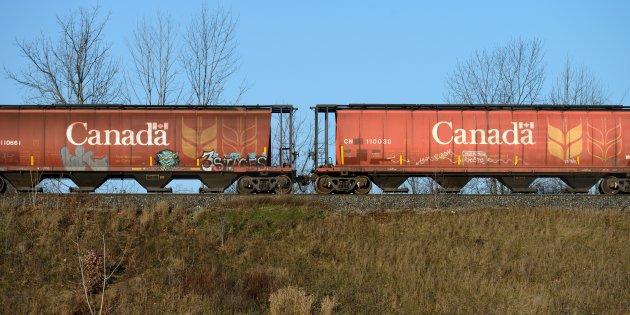 工會：加拿大將小麥協會賣給沙特是個錯誤，應贖回