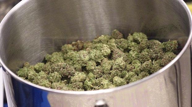 安省大麻店已與26家供貨商簽約