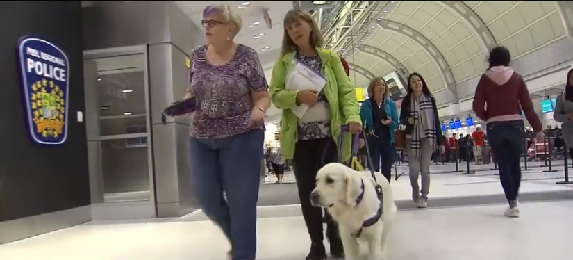 航空公司拒絕導盲犬登機，多倫多女子度假夢落空