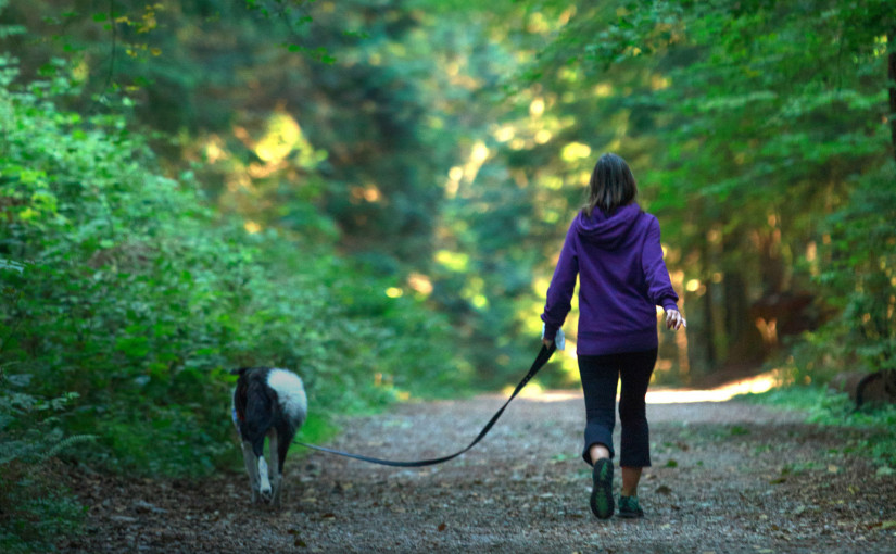國慶黃金假期，告訴您來大溫北岸的幾大理由