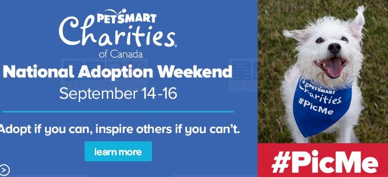 9月14-16加拿大全國收養週末 幫助無家可歸的寵物