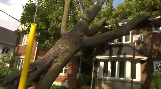 狂風席捲多倫多 16000用戶停電