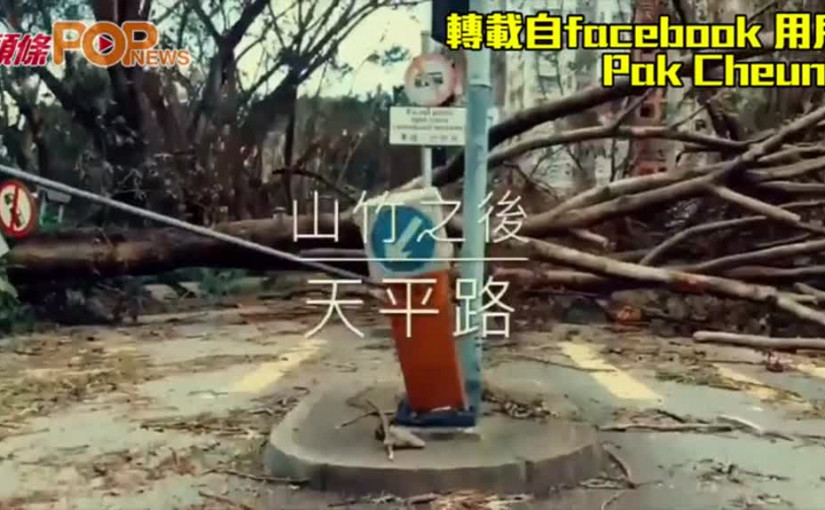 山竹過後的天平路