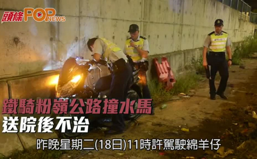 鐵騎粉嶺公路撞水馬  送院後不治