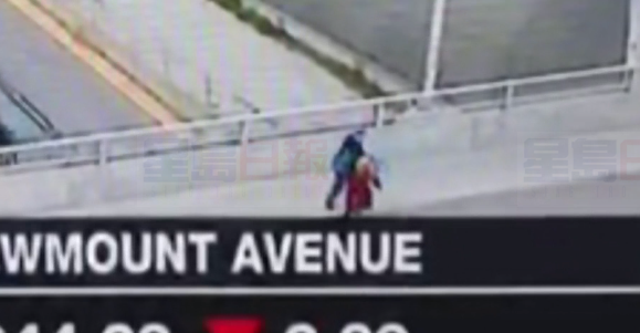 多倫多女子大橋上遭襲擊、搶包