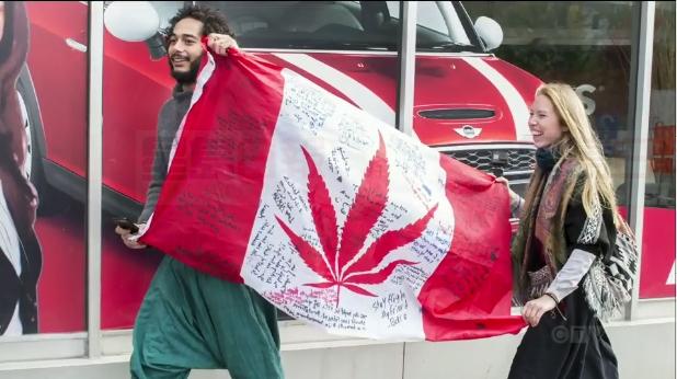 最新報告：大麻合法化可能導致更多的車禍