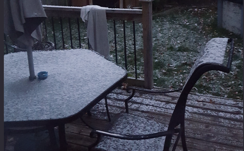 安省本週末還會下雪，萬聖節比常年更冷