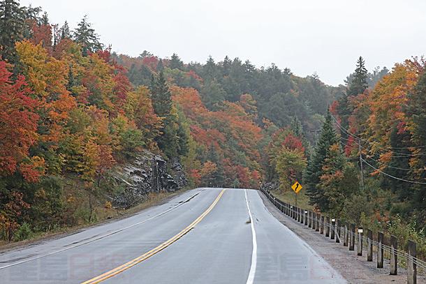 實景組圖：阿崗昆楓葉已進入最佳觀賞期
