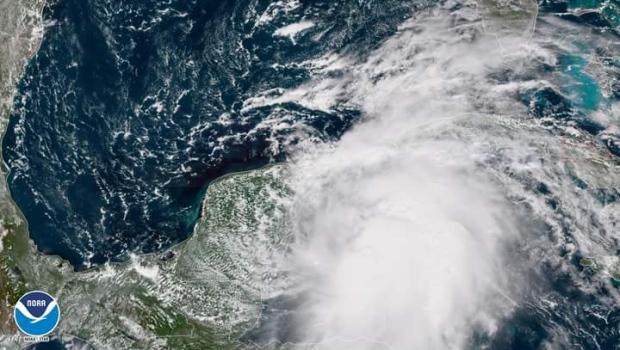 【探親旅遊留意】 Michael周三吹抵佛州