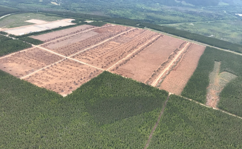 2019年加國西岸最佳房地產投資的城鎮 你一定估不到