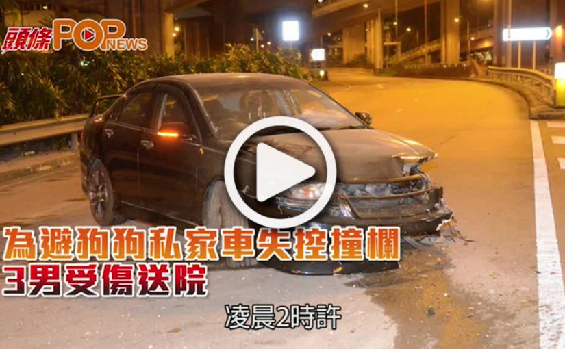 為避狗狗私家車失控撞欄  3男受傷送院