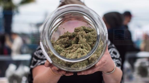 【安省私營大麻】 零售店牌照下月申辦    朝9晚11可賣大麻
