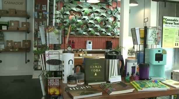 薩省男子開設課程 教授如何在家中種植大麻