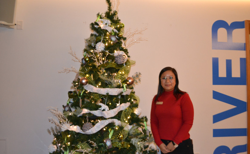 「麥當奴之家」今晚迎來17棵聖誕樹裝扮