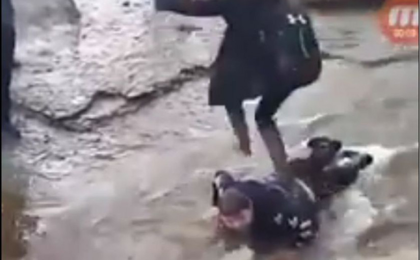 14歲加國腦癱男孩欺凌事件  引發關注