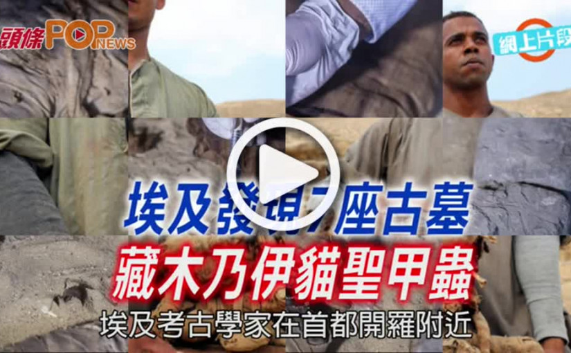 埃及發現7座古墓藏木乃伊貓聖甲蟲