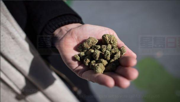 萬錦密市議決不開大麻店 多市明天開會決定