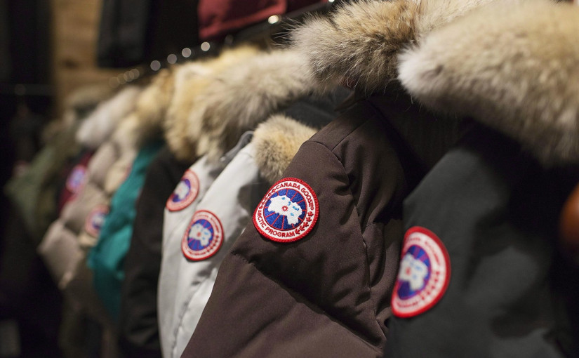 抵制加拿大鵝廣告遭撤 善待動物組織欲興訟