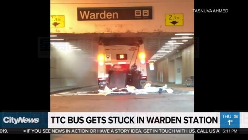 TTC巴士誤闖乘客專用區域 硬擠隧道車頂被削