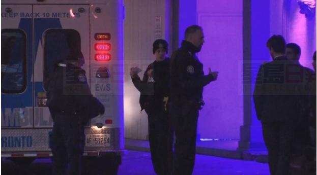 北約克深夜群毆 一男子被扎傷入院