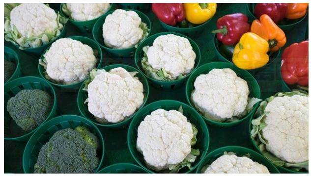 受大腸桿菌污染 加拿大召回美國生菜和花椰菜